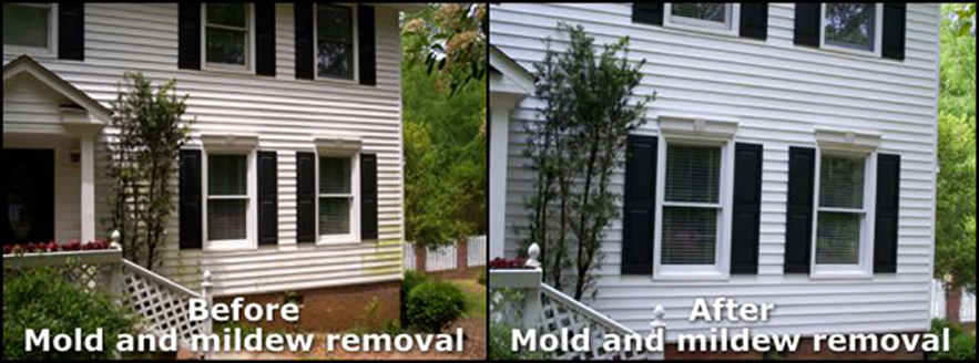 mold-removal-augusta